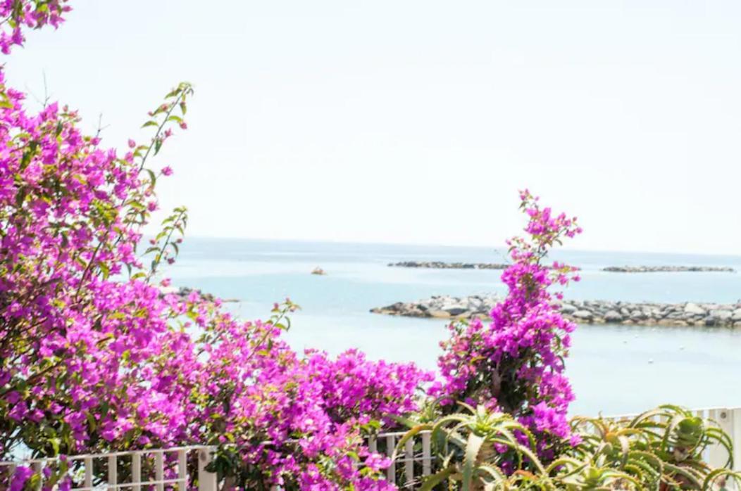Giardino In Citta; Centralissimo San Remo Kültér fotó