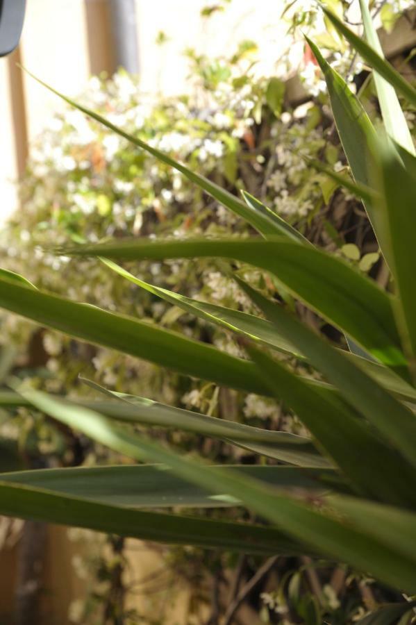 Giardino In Citta; Centralissimo San Remo Kültér fotó